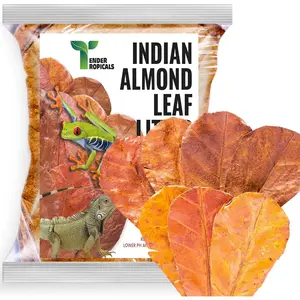 100 pcs 3" Leaf Litter for Tree Frogs Indian Almond Catappa Leaves Terrarium Bioactive Amphibian Habitat Decor Accessories