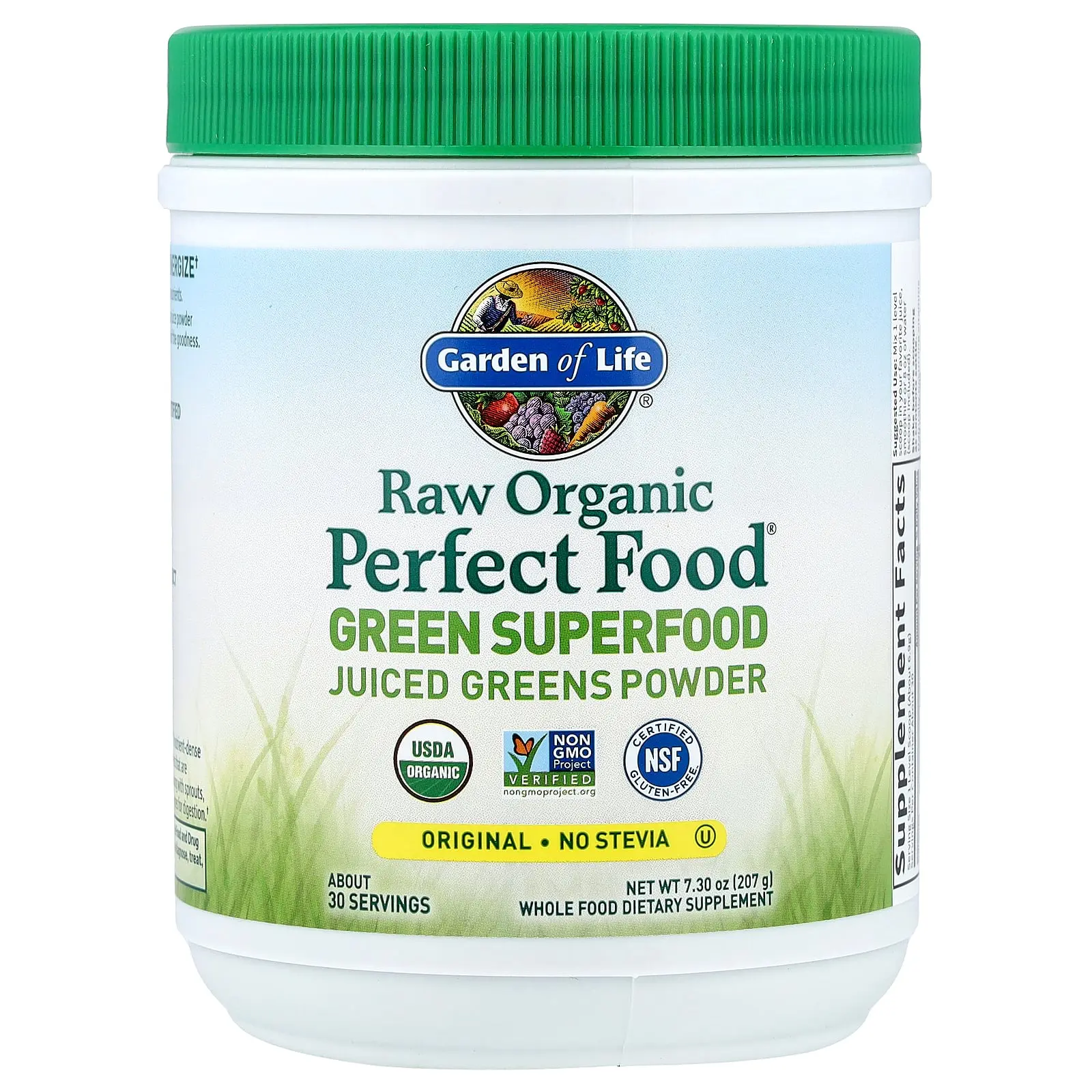 Garden of Life Raw Organic Perfect Food®, Green Superfood, Juiced Greens Powder, Original, 7.3 oz (207 g)