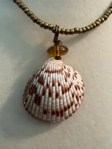 Bronze Drift Shores – Smooth Cockle Shell Necklace on Bronze Bead Chain