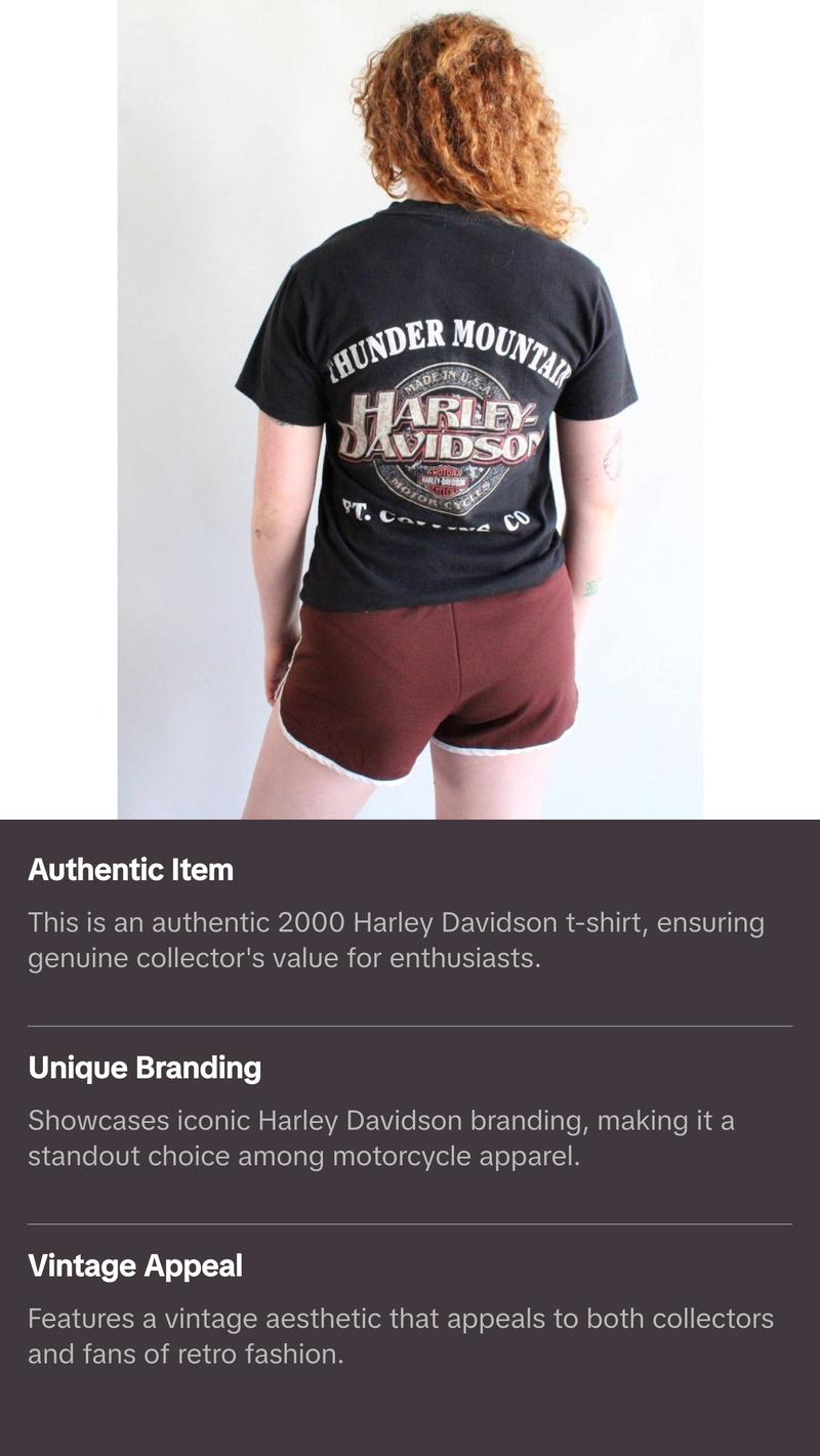 Vintage Harley Tee T1263