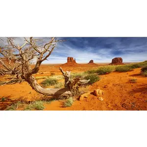 48x24 inches Durable Polyester Orange Desert Reptile Habitat Terrarium Background