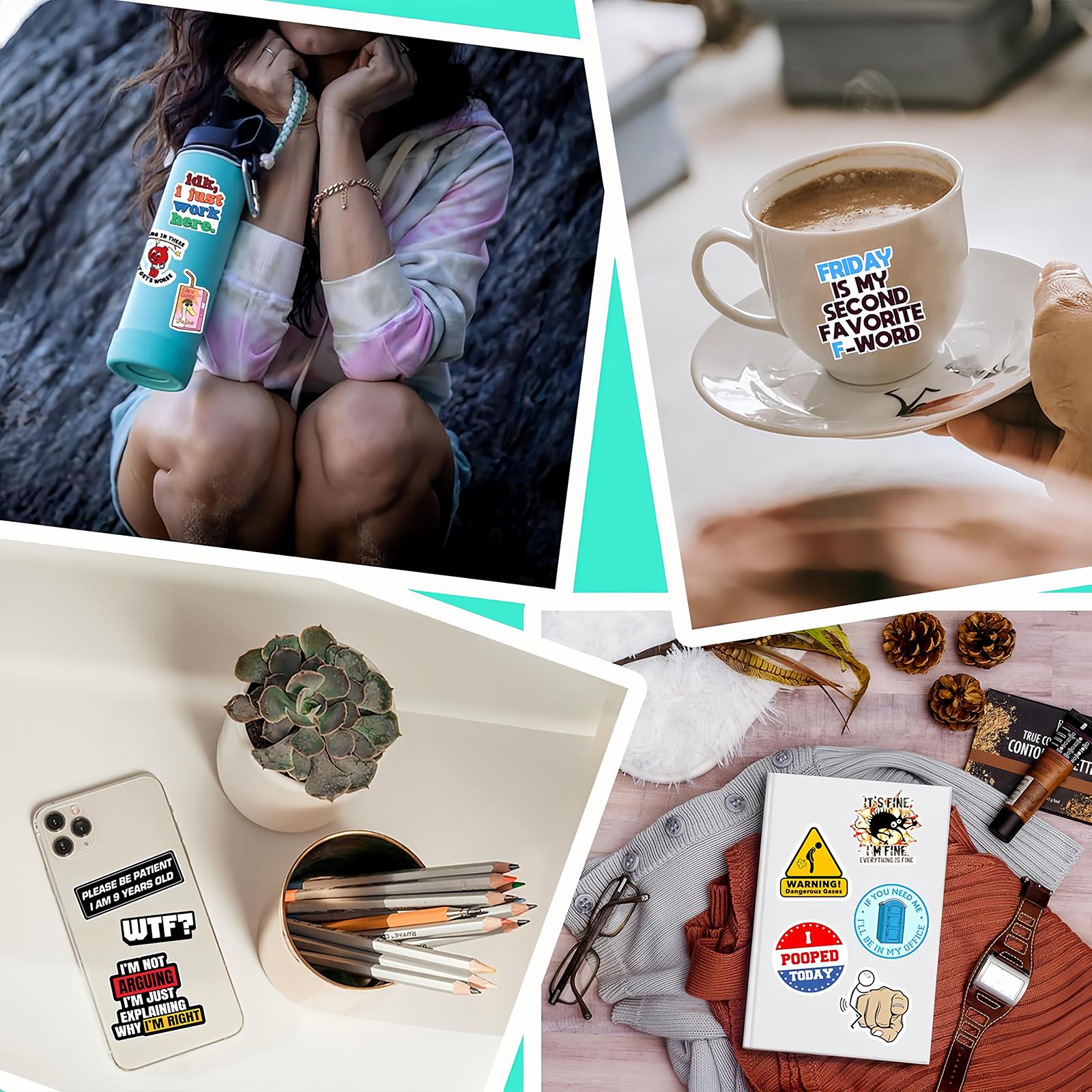 130PCS Funny Saying Sticker Pack - Snarky, Sarcastic Bold Humor Vinyl Waterproof Meme stickers for laptop, computer, water bottle, ipad, phones bumper folding chair sticker pack