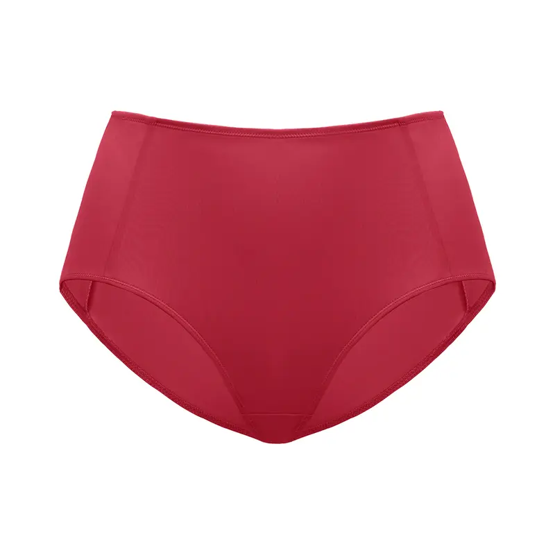 HSIA Cool Cardi Comfort Seamless Matching Panty High-Rise Brief Women Underwear