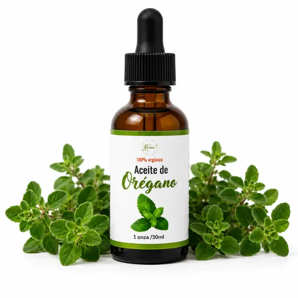 Oregano Oil (Oregano Infused Oil) – Natural Botanical Massage & Body Oil – 1 oz
