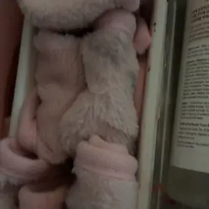 review image 2