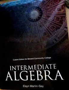 USED-INTERMEDIATE ALGEBRA >CUSTOM< by Elayn Martin-Gay (Hardcover)