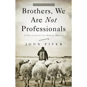 USED-Brothers, We Are Not Professionals: A Plea to Pastors for Radical Ministry by Piper, John (Paperback)