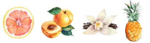 Sea Salt & Grapefruit Room Spray