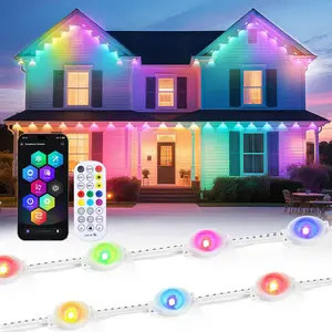 Quntis Smart Eave Lights 15m 30LEDs Permanent Outdoor RGBIC Eaves Light with App Bluetooth Controller Remote Control Waterproof String Light for Garden House Party Patio Christmas New Year Decor