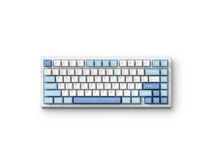 MCHOSE G75 PRO 75% Wireless Mechanical Keyboard, TKL Keyboards Tri-Mode BT5.0/2.4GHz/USB-C, Hot Swap Custom Creamy Keyboards Linear Switch, Double Shot PBT Keycaps RGB LED Backlit (Blue/Cabbage Tofu)