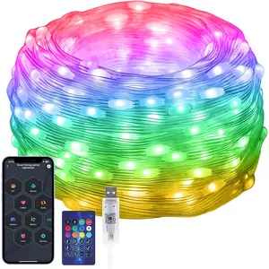 100 LEDs RGB  IC Fairy Lights, [APP & Remote Control] 33FT/10M Multicolor String Lights, USB  & IP65 , Christmas Light Decoration for Outdoor/Indoor, Christmas, Bedroom