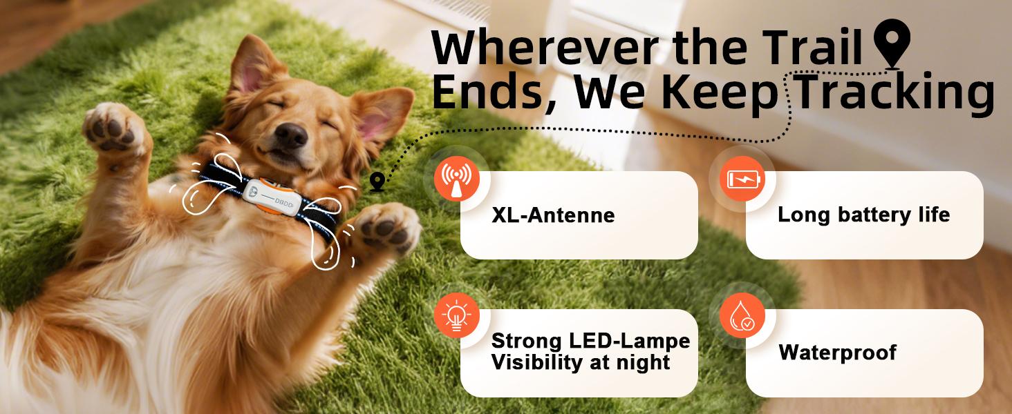 DBDD AI GPS Tracker for Dogs (30lbs+), Real Time Location and AI Health Assistant, Electronic Fence, Waterproof, iOS and Android Universal Cat