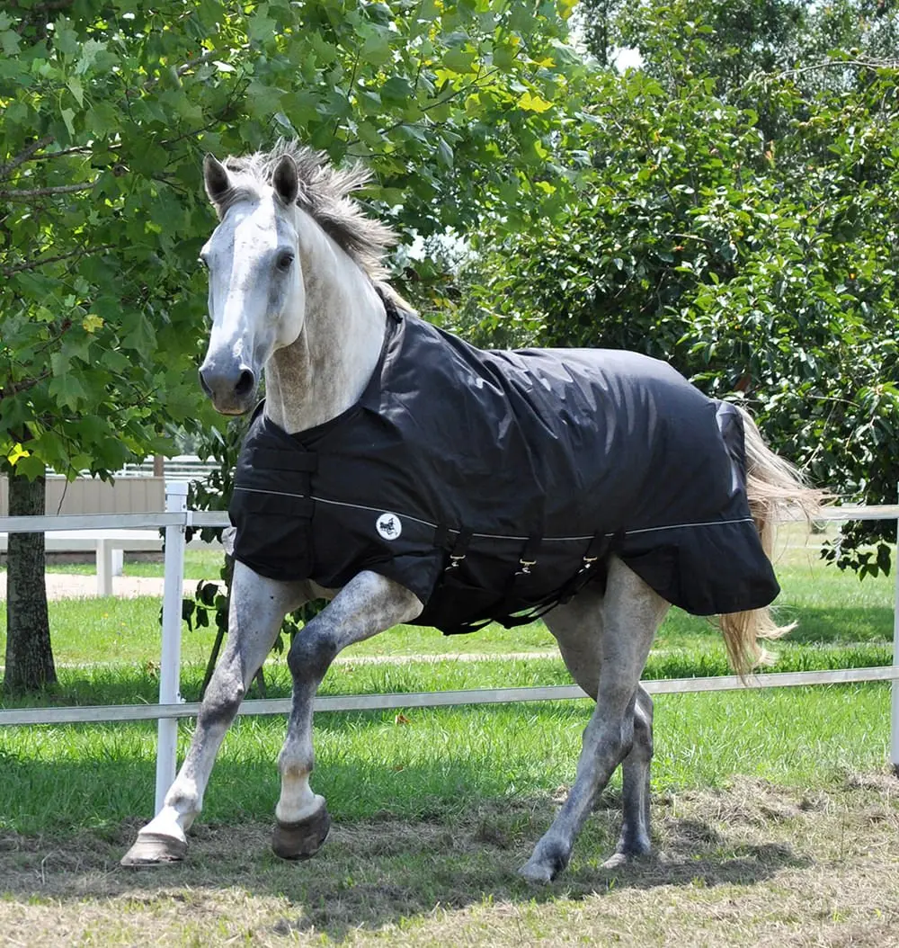 Jeffers 1680D Supreme Plus Medium Weight Turnout Blanket, 240 Gram Fill