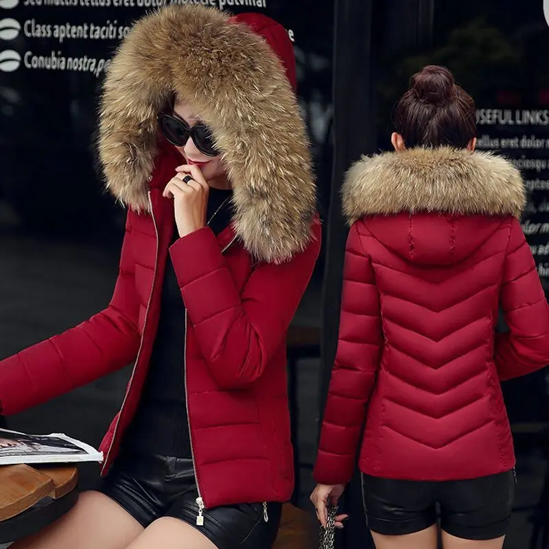 Slim cotton padded jacket and down jacket Slim cotton padded jacket and down jacket