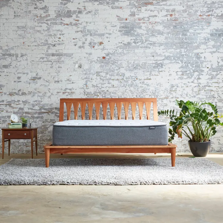 The Aviya Plush Mattress