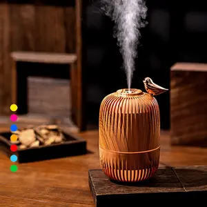 Portable Mini Humidifier,Birdcage styling Humidifier Colorful, Cool Mist, USB Powered Perfect for Desk Bedroom Indoor Plant Quiet Colorful Night Light desktop air