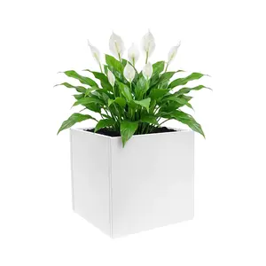 24x24x24 In Large Cube Square White Steel Planter Box, Rust-Proof Raised Garden Bed with Large Opening, Screw-Spliced Structure, Drainage Slits, Stable Durable for Indoor Outdoor Patio