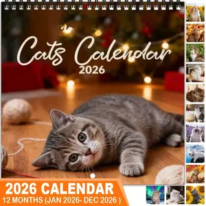 2026 Lazy Cat Theme Wall Calendar Planner, Tear Off Calendar, 12 Months Colorful Illustrations, 7.9in X 7.9in Perfect Size, Cute Fun Cat Art Decor Gift