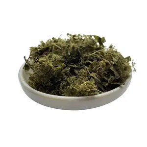 Soursop
