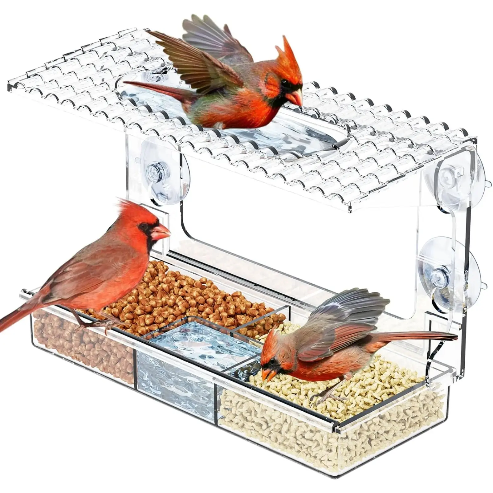 Acrylic Clear Window Bird Feeders with Strong Suction Cups,Easy to Remove and Replenish Feede Tray and Bird Bath,Glass Birdhouse and Wild Bird Feeder for Cats,Old People Viewing Inside House