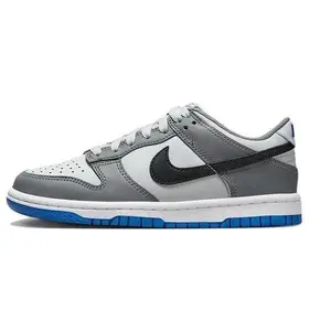 Youth Nike Dunk Low Cool Grey/Black-Pure Platinum (FB9109 001) (GS)