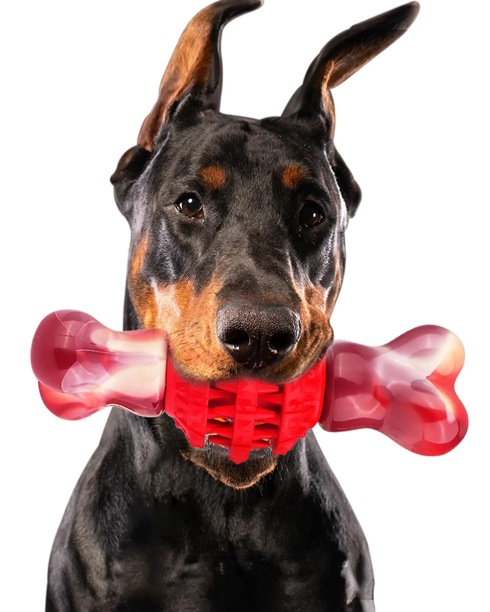 Apasiri Super Chewer Beef Flavor Nylon & Rubber Locking Chew Bone Toy, Pink & Red, 1 count