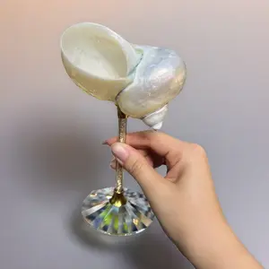 100% Natural Handmade Conch Goblet Wine Cup Candle Cup