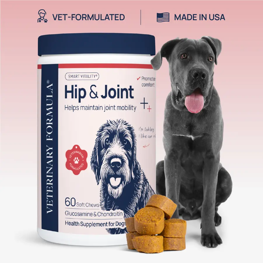 Mobility; Hip & Joint Care Soft Chew Supplement for Dogs