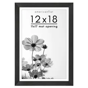 Oversized Gallery Picture Frame with Mat | Hudson Collection