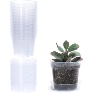 4 Inch Clear Plastic  Pot with Drainage Holes, Interlocking & Detachable Tray - Deep  - Durable  Plastic, Transparent Design, Raised Base for Airflow, Set of 12, 92-X-B-2