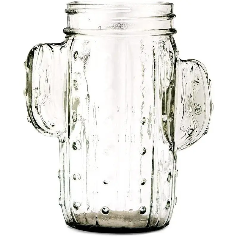 Cactus Mason Jar Drinking Glass 12 oz - Clear