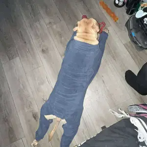 Dog Winter Jacket, Windproof Jacket with Warm Polar Fleece Lining for Small, Medium and Large Dogs, Cold Weather Dog Clothes, A Cozy Gift for Your Pet in Winter