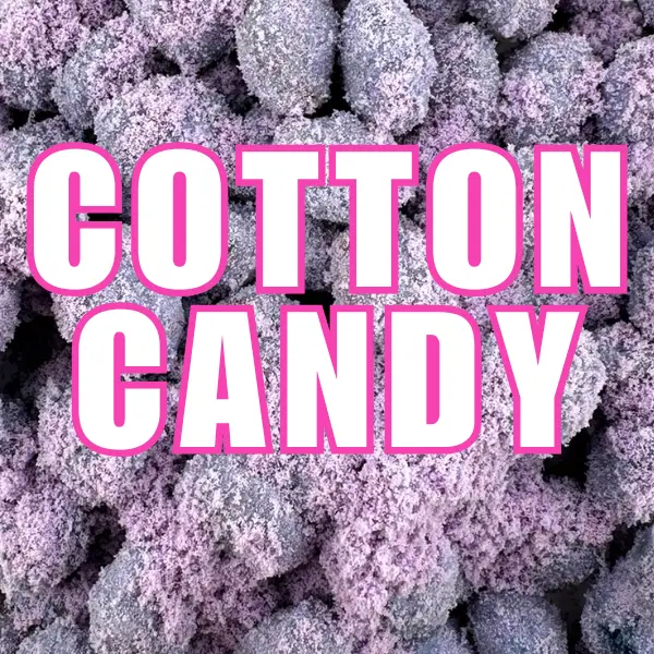 Cuza's Cotton Candy Gushies Candies Snack Bonbon Fruit Sugar