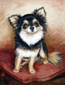 Chihuahua Long Hair Flag Garden Size