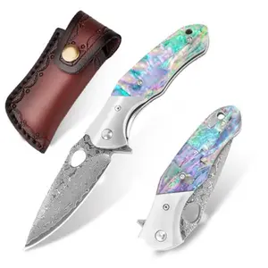 Fruit Seafood Folding Knife Unique Rainbow Abalone Shell Handle Damascus Folding Knife, Sharp VG10 Core Damascus Steel Knife for Kitchen Household Fruit Knife, Latest Gift for Men
