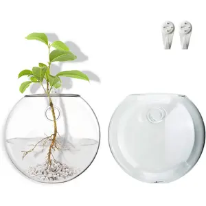Wall Mount Plant Propagation Station - Clear Hydroponic Glass Vase, Oblate Planter for Indoor Plants | Perfect for Home, Office, Bathroom Decor | Gift for Plant Lovers (2)