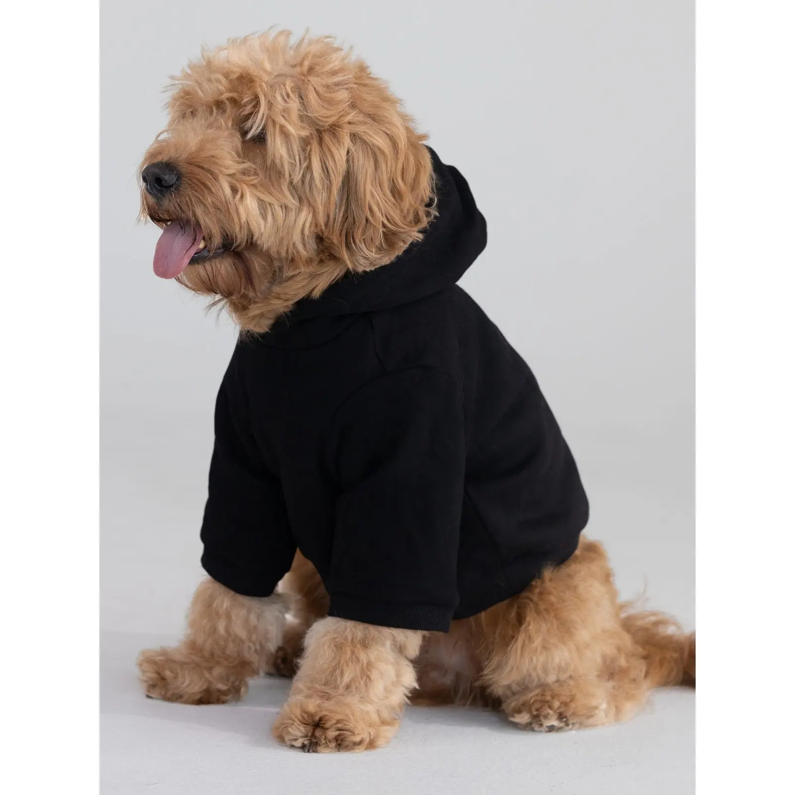 Comfrt | Tranquil Paw Hoodie | Soft Hooded Pet Clothing Outfits Comfrt | Tranquil Paw Hoodie | Soft Hooded Pet Clothing Outfits