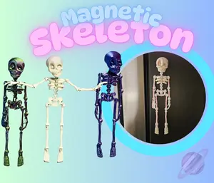 ARTICULATED SKELETON MAGNET Magnetic Skeleton Unique Design for Your Collection 9 Inch Articulated Skeleton for Collections and Displays