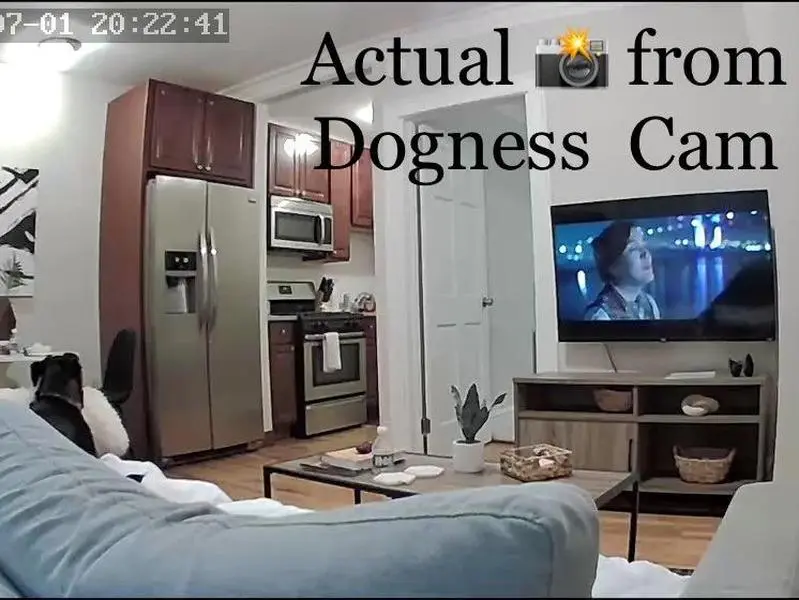 Dogness HD WiFi Camera Treat Dispenser - White - The Smart Cam Treater has an HD camera, speaker, and microphone so you can check on & treat your pet anytime, anywhere, from your smartphone using the free app.