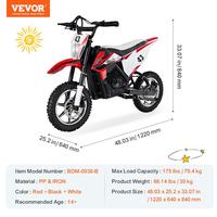 36V Electric Motorbike