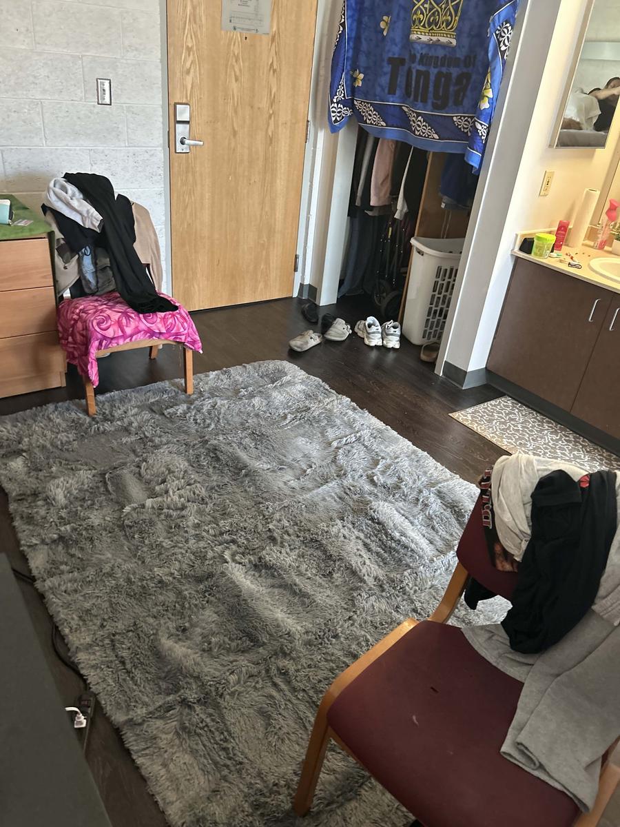 Item: Gray, 5*8 feet