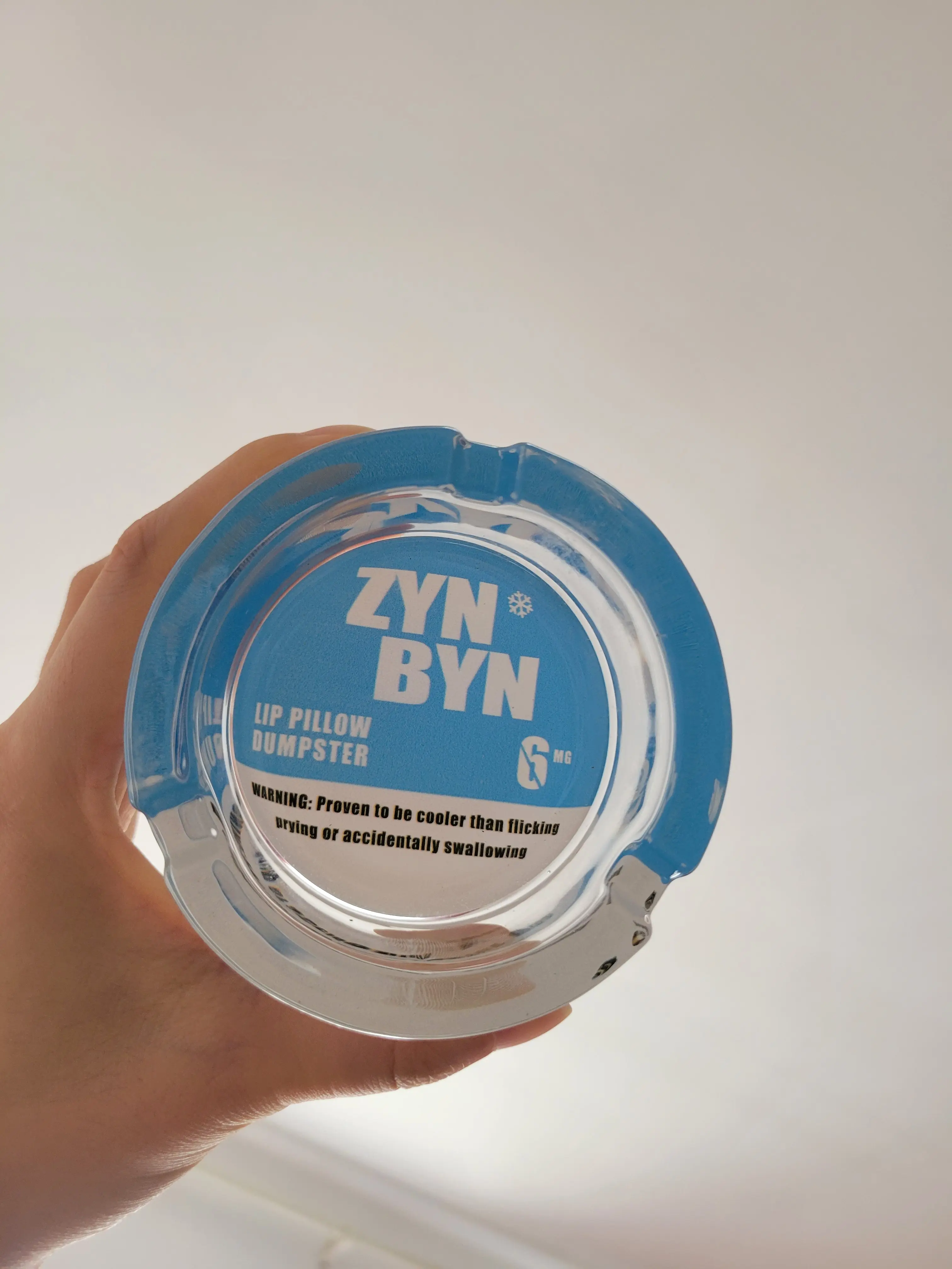 The ZynByn Lip Pillow Dumpster - ThePerfect Gift for Him or Her to Cleanup in Style