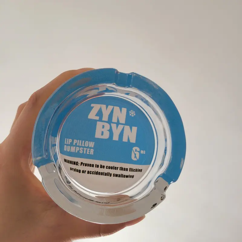 The ZynByn Lip Pillow Dumpster - ThePerfect Gift for Him or Her to Cleanup in Style