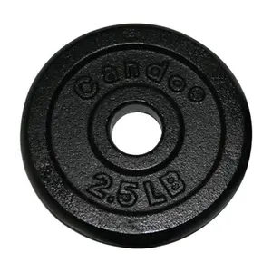 Fabrication Enterprises 10-0601 Iron Disc Weight Plate- 2.5 Lbs.