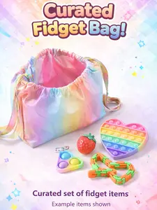 Curated Fidget Item Bag Set – 10-Pack Selected Fidget Item Bags for Stress Relief & Sensory Play