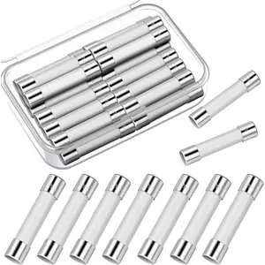 Microwave Fuse 20 Amp Ceramic Slow Blow, 250v, 6.35 x 30 mm, Compatible For Ge Wb27x10388, Kenmore Slow Blow Microwave Oven Replacement Parts