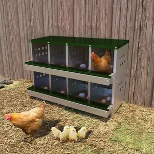 GAOMON Green Chicken Nesting Boxes, 8 Compartment Metal Chicken Laying Box with Roll Out Egg Collection, Waterproof & Rustproof Laying Boxes for Hens Chickens, Ventilation & Perch
