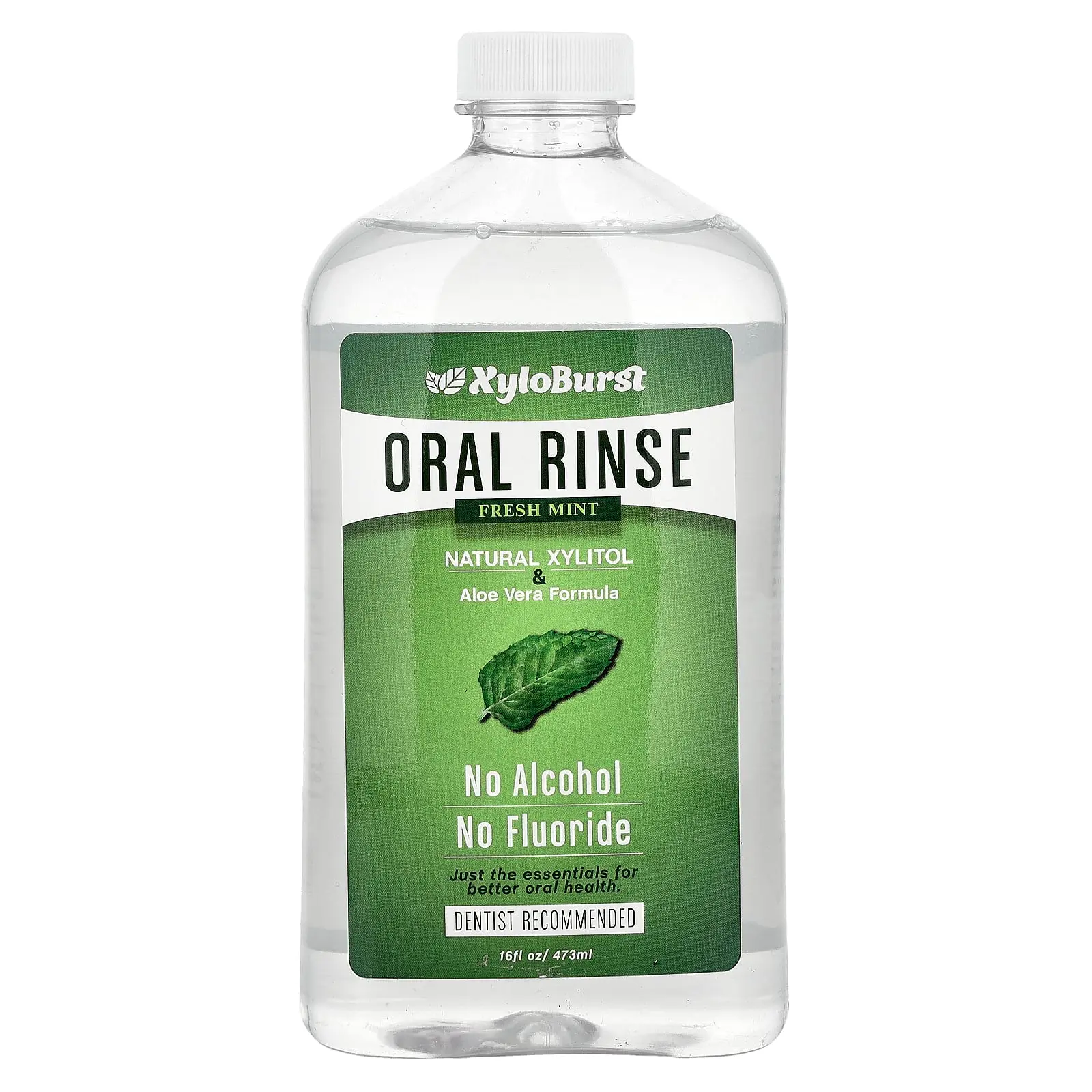 Xyloburst Oral Rinse, Fresh Mint, 16 fl oz (473 ml)