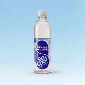 SO COOL NATURAL SPRING WATER – 6-PACK (16.9 OZ BOTTLES)