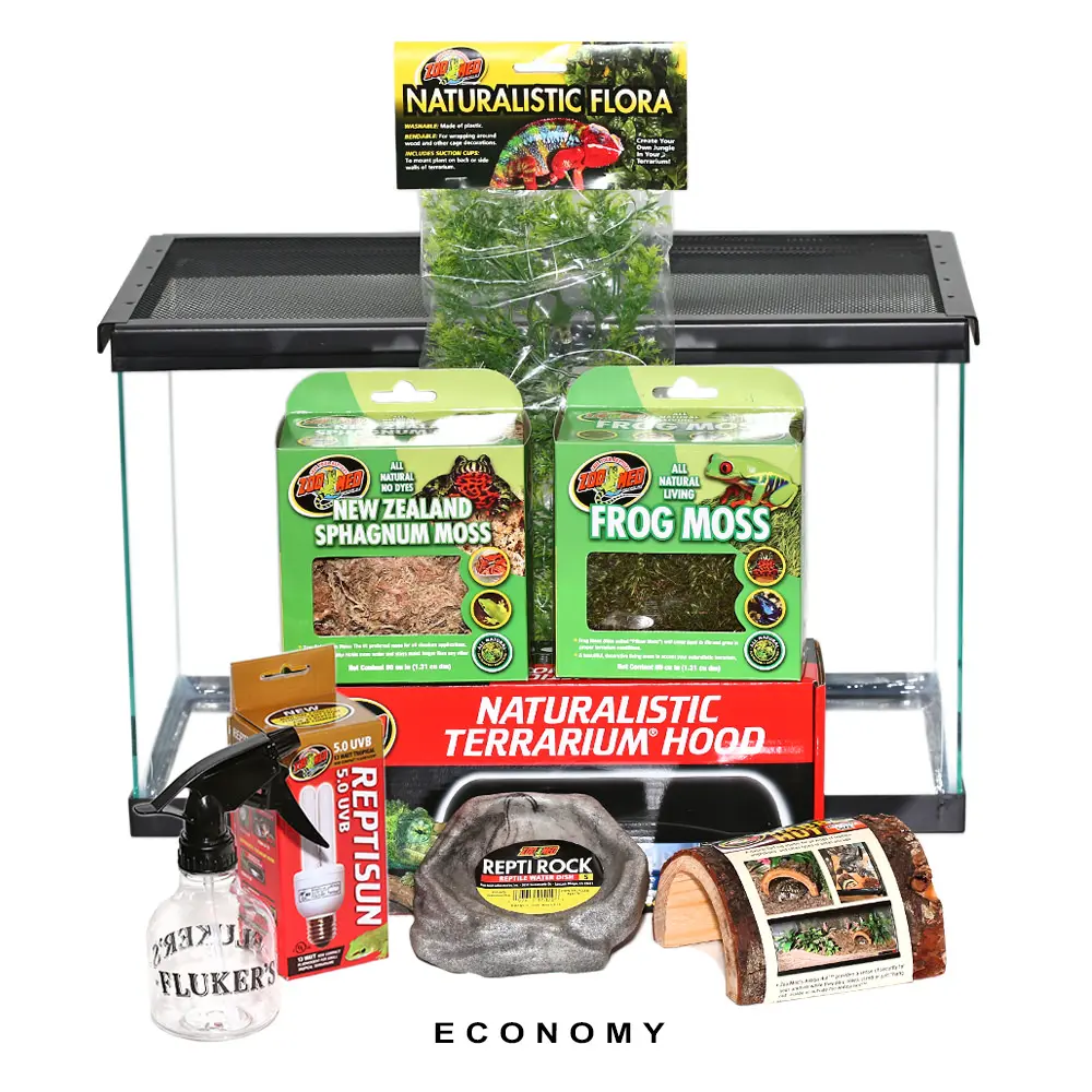 COMPLETE Dart Frog Setup